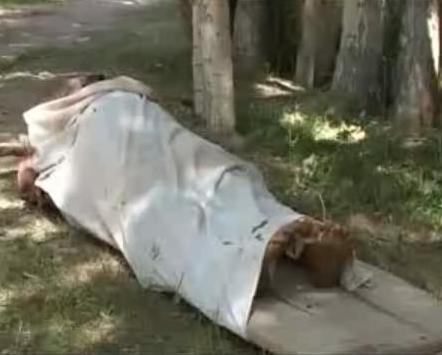 کودک، زن و مرد بی دفاع، کوچ داده می شود!