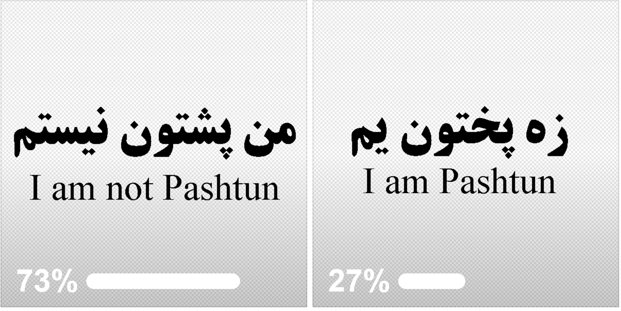 Are Pashtuns really the majority in so-called country Afghanistan?