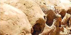 هفت و هشت ثور تراژدی ترکیدن غده های چرکین