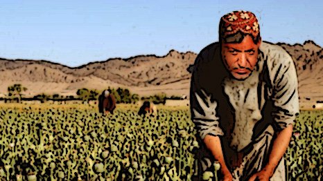 کرزی در مزرعهء خانوادگی اش 
