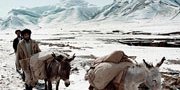 زمستان و حوادث غير مترقبه در افغانستان