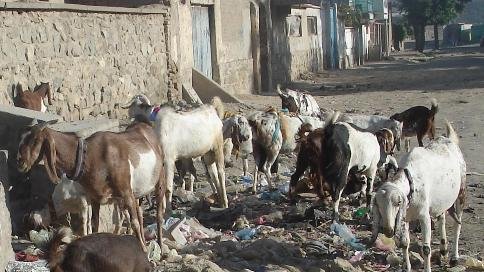 آلودگی هوا در پایتخت افغانستان 