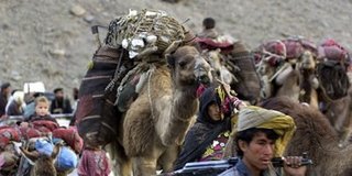 A declaration & petition for action regarding the invasion of the Taliban under cover of the Kochies against the national interest in Hazarajat, Afghanistan