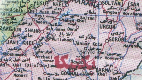 یک خبرنگار در پکتیکا سر بریده شد!