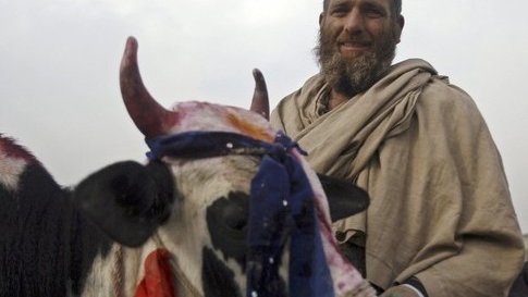 قربانیان جشن قربان!