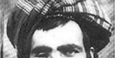 صلح با طالبان!