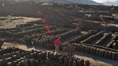 کار و کار و کار؛ خشخاش نمی کارند و مرگ کسی را باعث نمی شوند