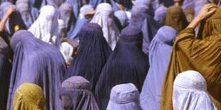 اعلامیۀ مشترک شبکۀ زنان افغان و شبکۀ شبکۀ جامعۀ مدنی و حقوق بشر افغانستان به مناسبت هشتم مارچ، روز همبستگی جهانی زنان 