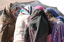 کوچی ها در ولايت ميدان فاجعه آفريد!
