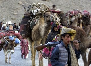 A declaration & petition for action regarding the invasion of the Taliban under cover of the Kochies against the national interest in Hazarajat, Afghanistan