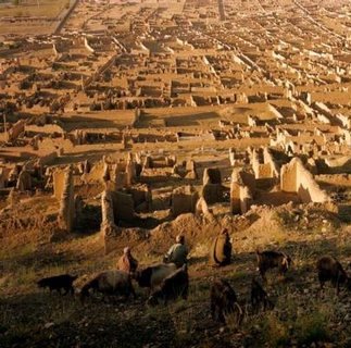 اطلاعیه کمیته مبارزه با تبعیض، نسل کشی و کوچ اجباری در افغانستان به مناسبت هجدهمین سالیاد فاجعه خونبار افشار