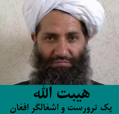 طالبان و زبان کشتار و انتحار در کنار زبانی بیگانه برای اکثریت مردم